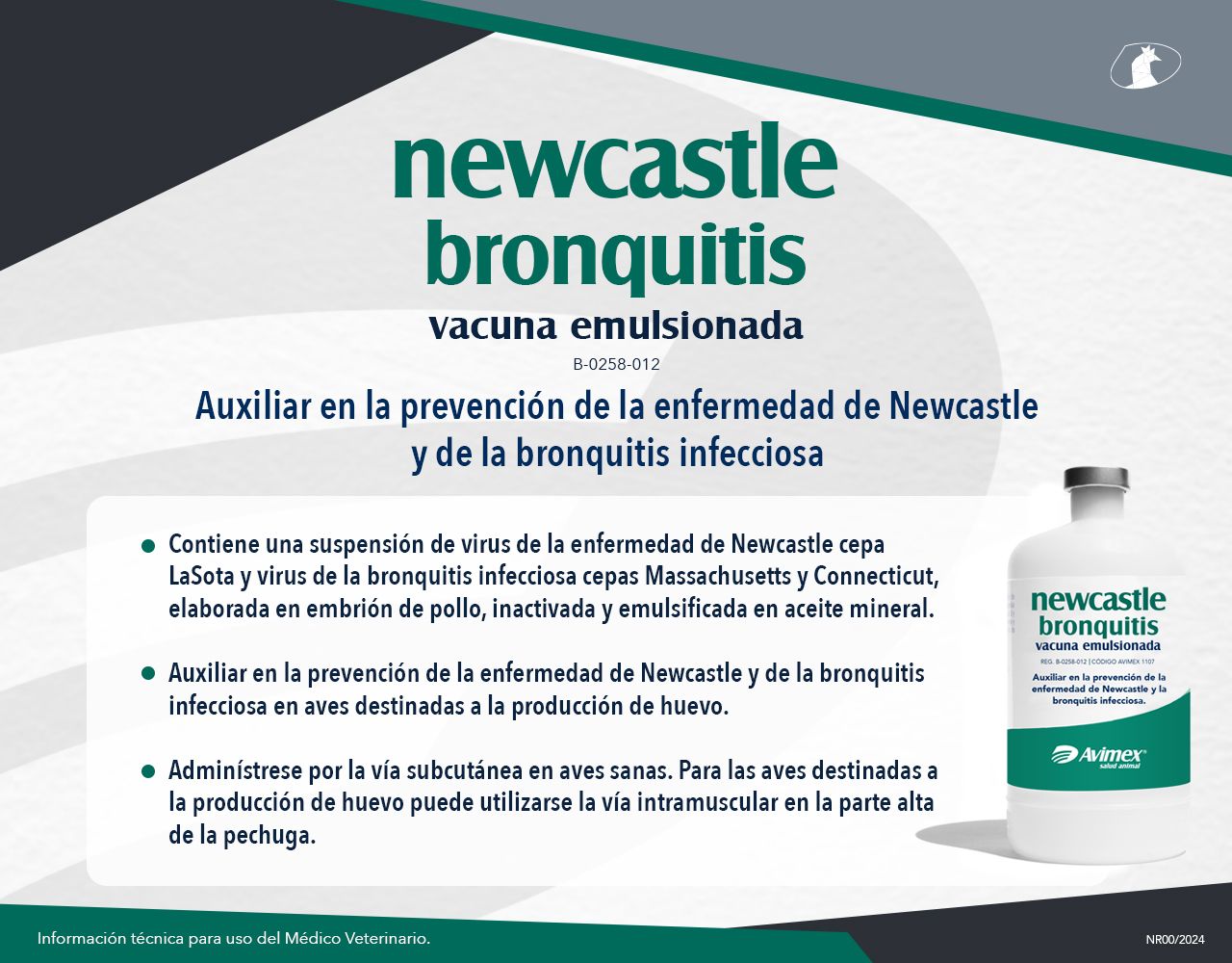 newcastle bronquitis 