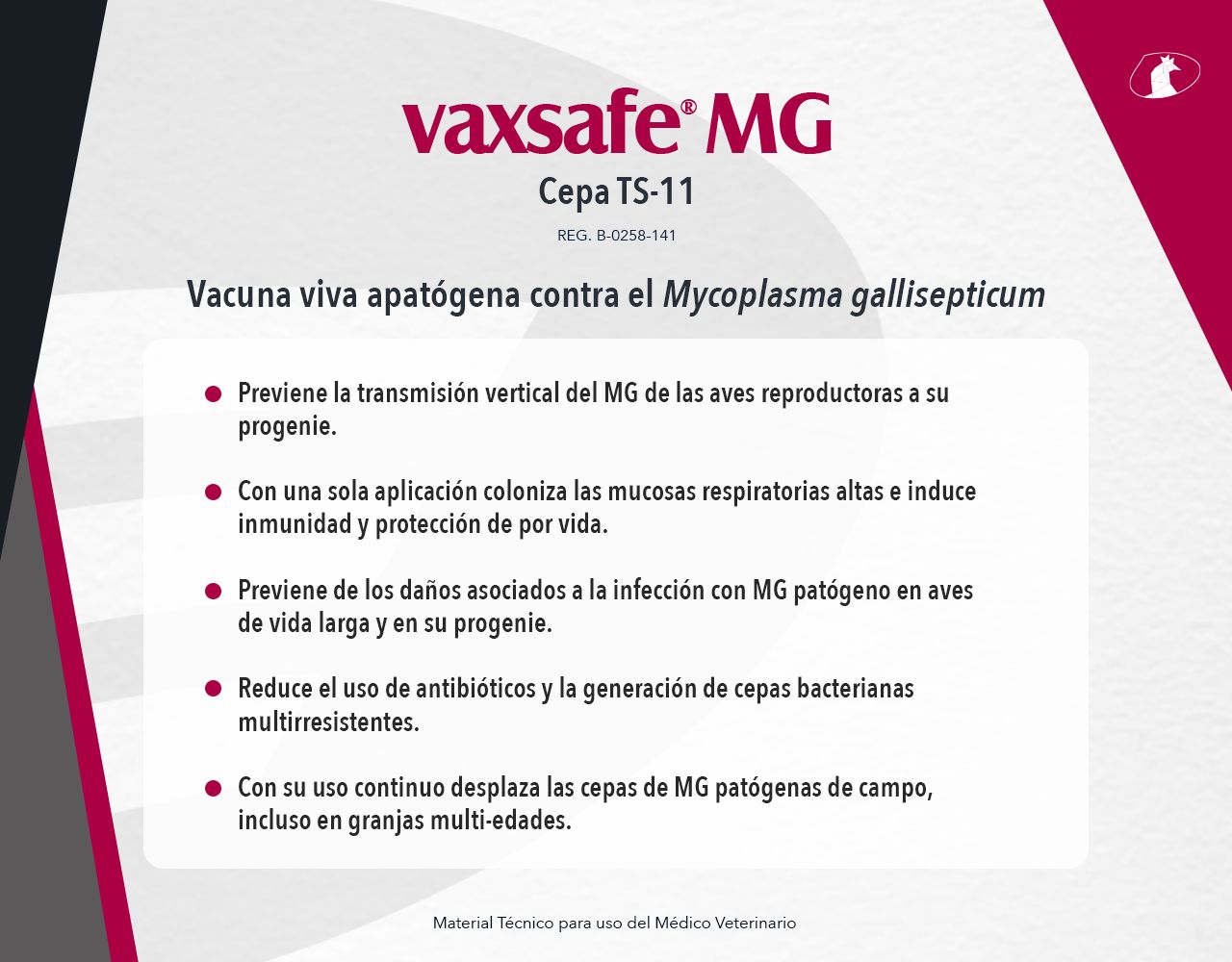 Vaxsafe® MG Cepa TS-11