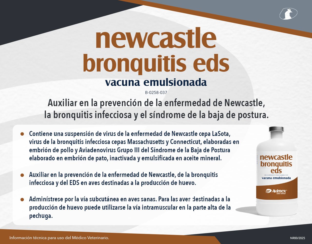 newcastle bronquitis eds
