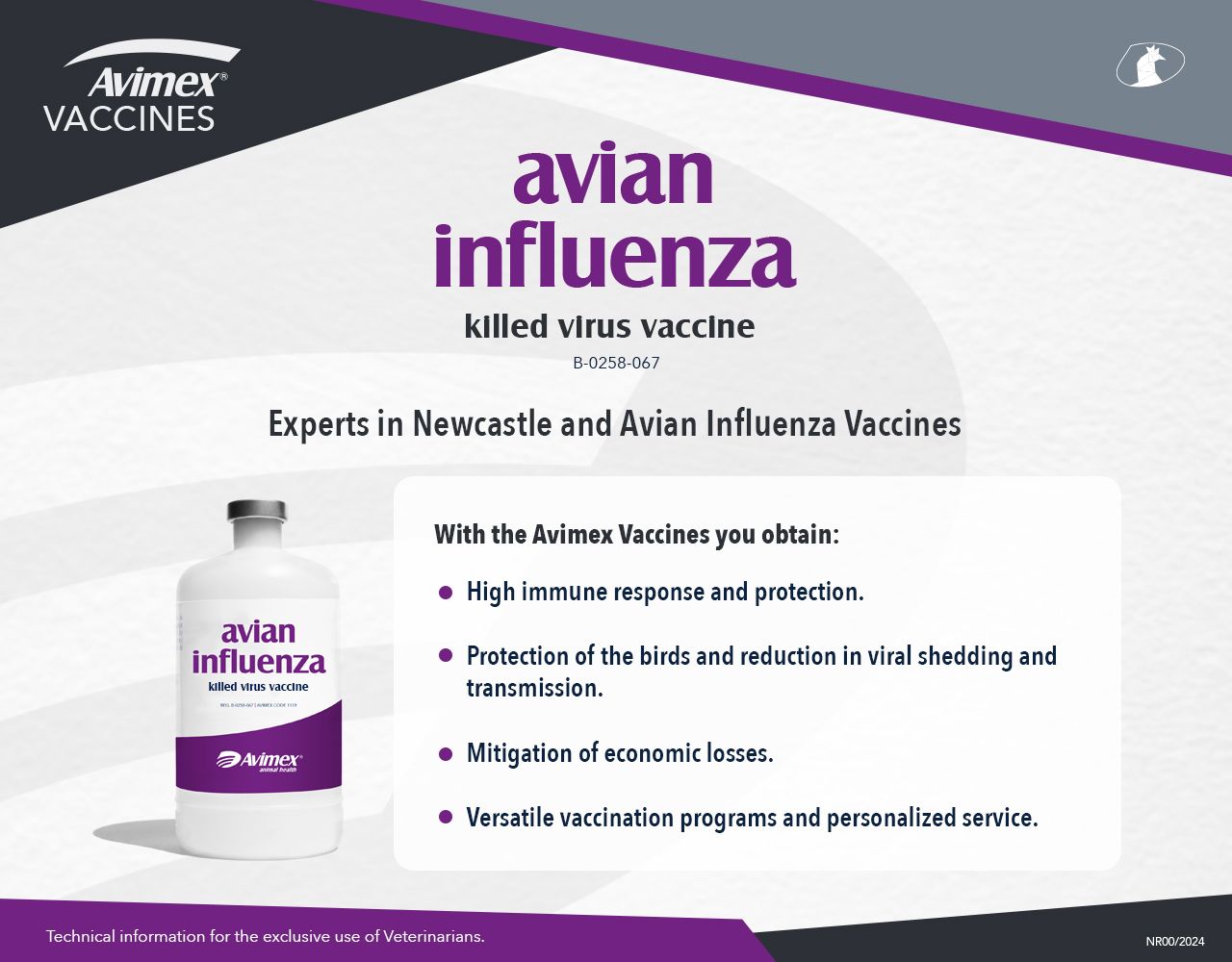avian influenza 