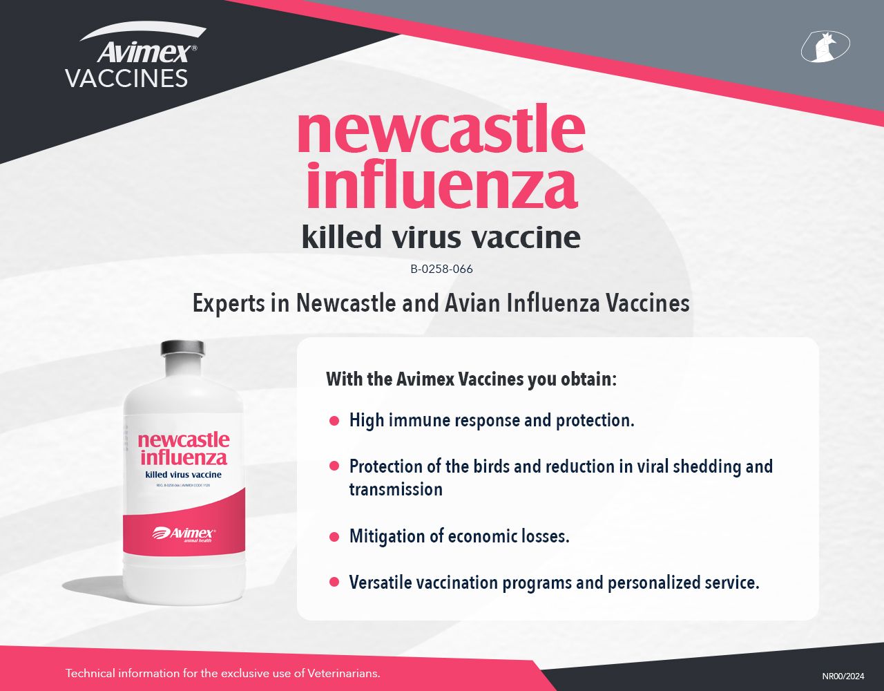 newcastle influenza 