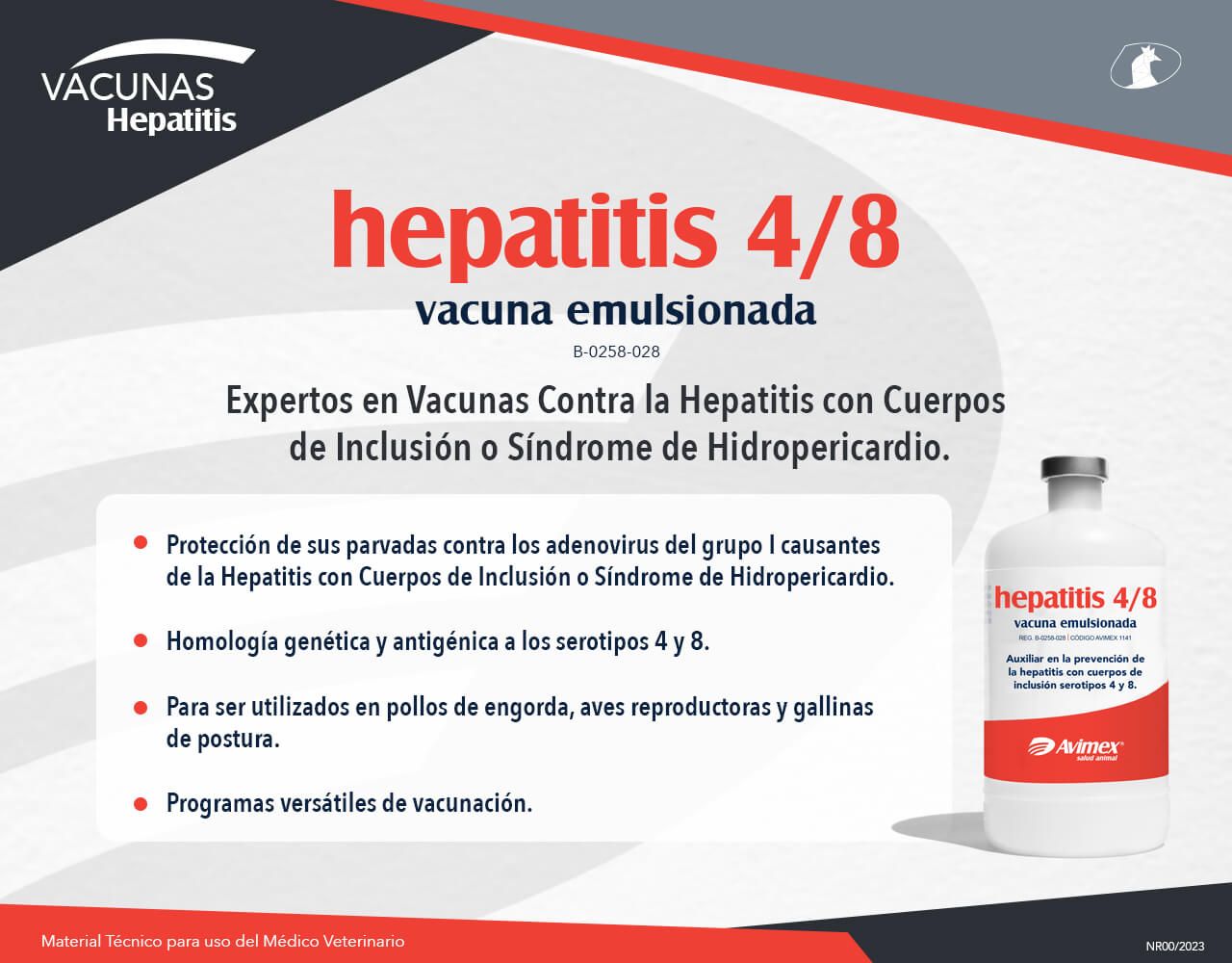 hepatitis 4/8 