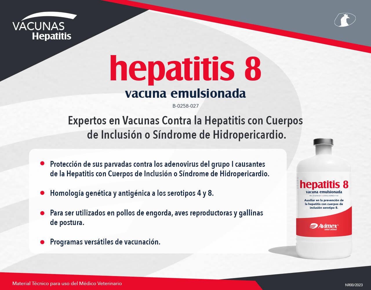 hepatitis 8 