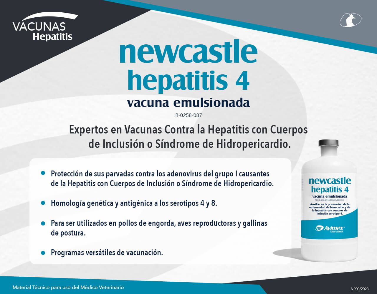 newcastle hepatitis 4 