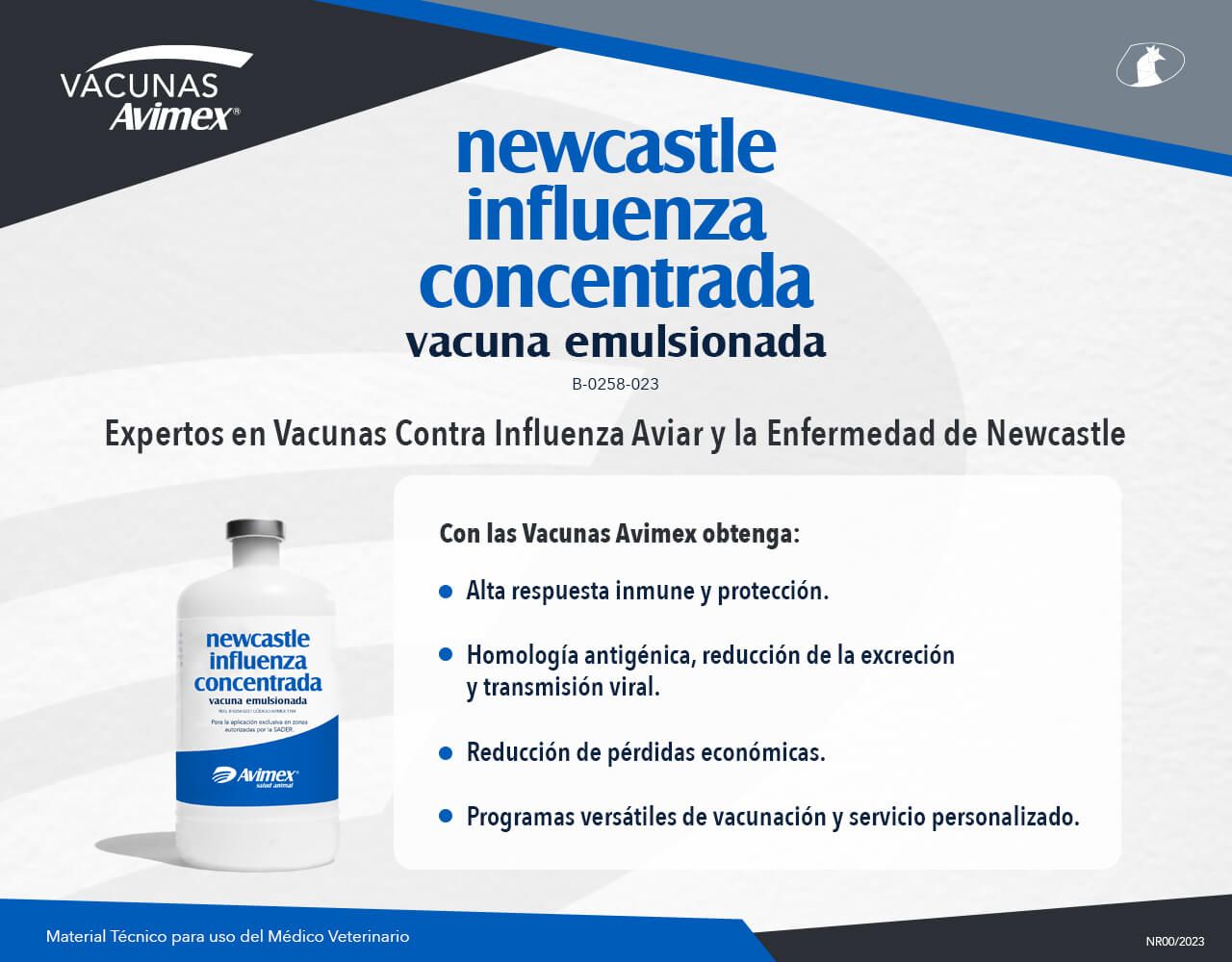 newcastle influenza concentrada 