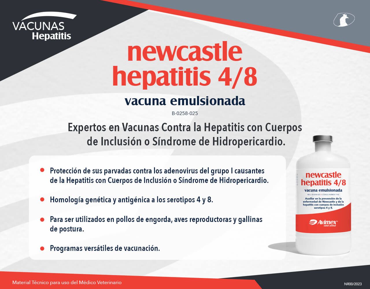newcastle hepatitis 4/8 