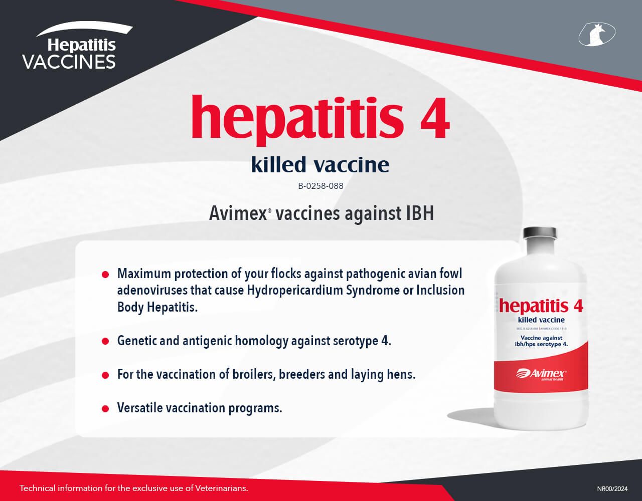 hepatitis 4 