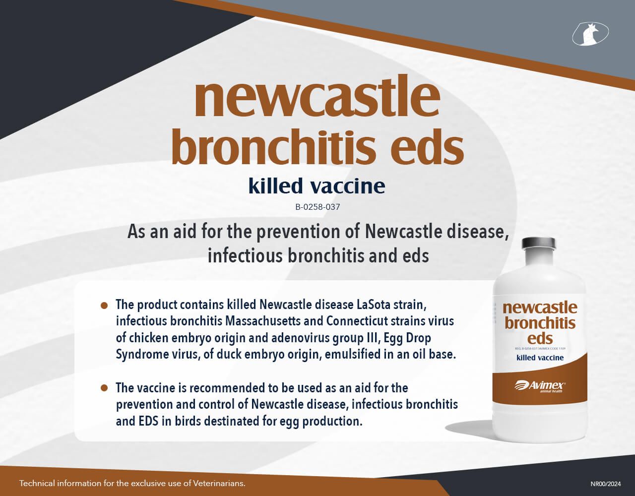 newcastle bronchitis eds