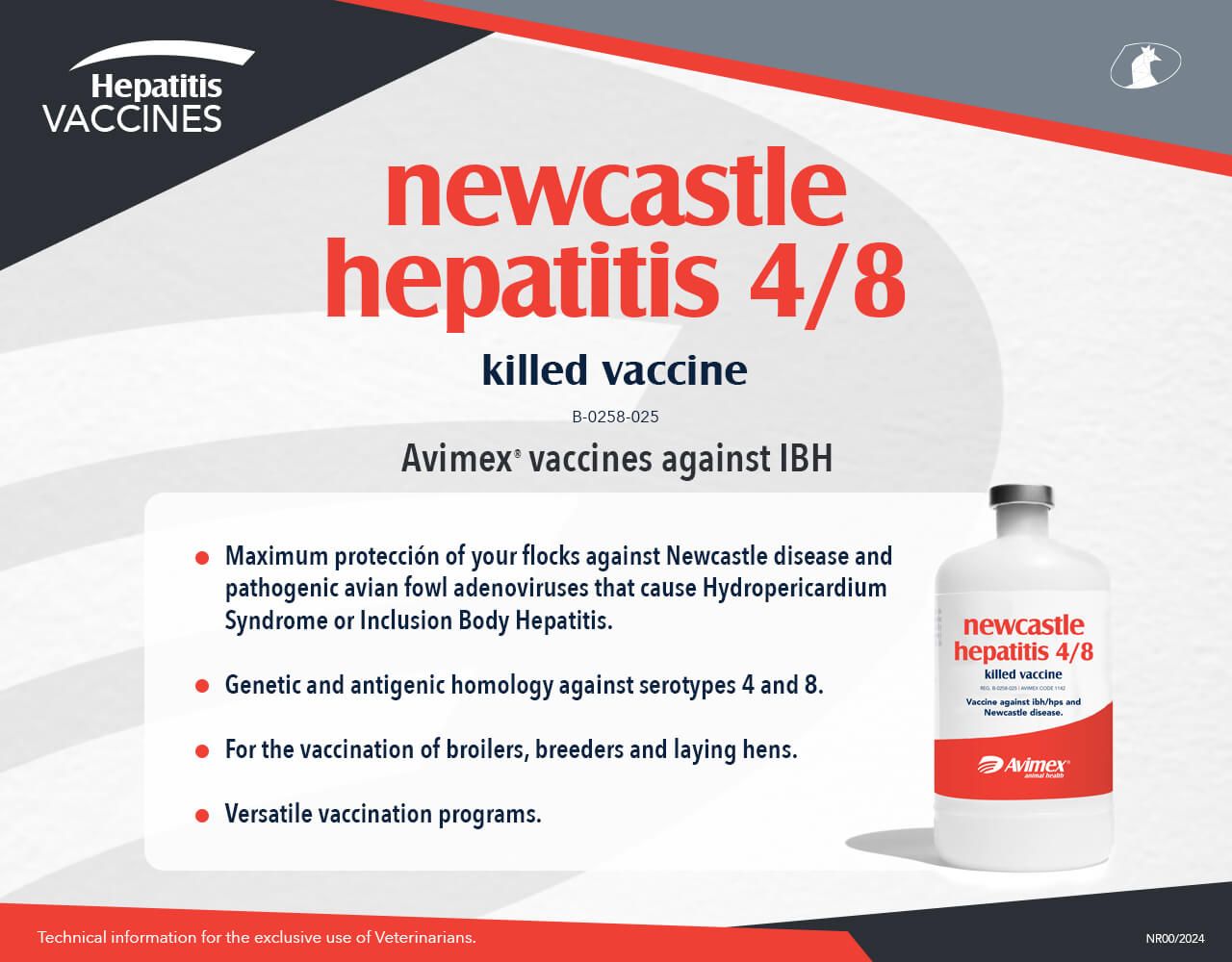 newcastle hepatitis 4/8 